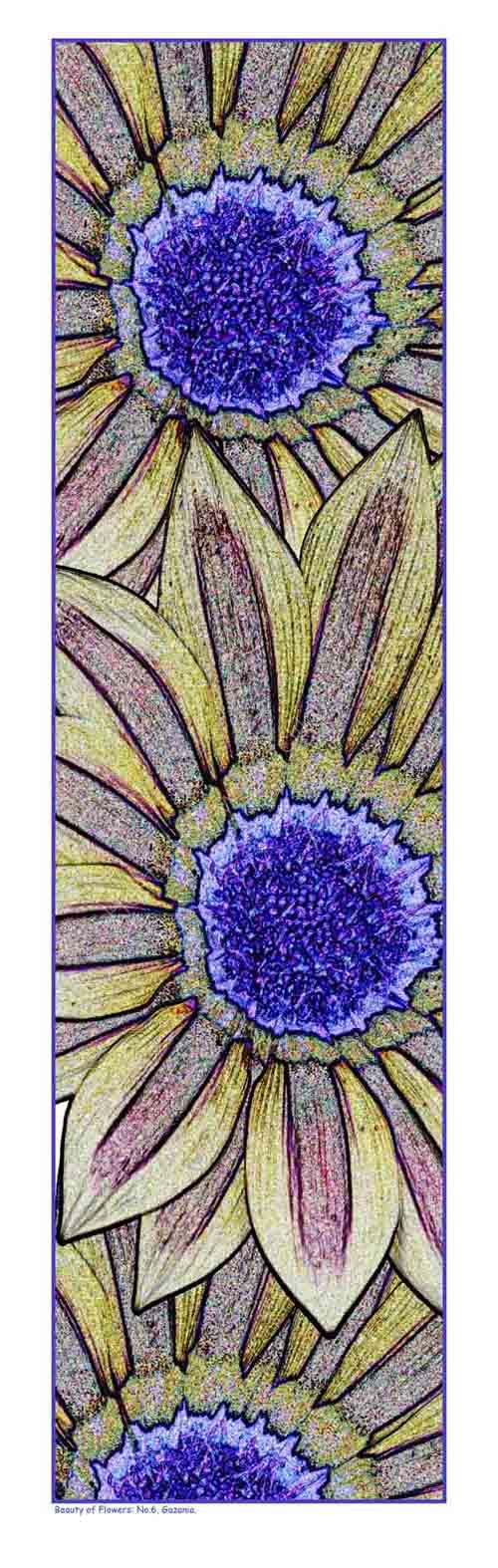 Beauty of Flowers No.6: Gazania. Limited Edition Print